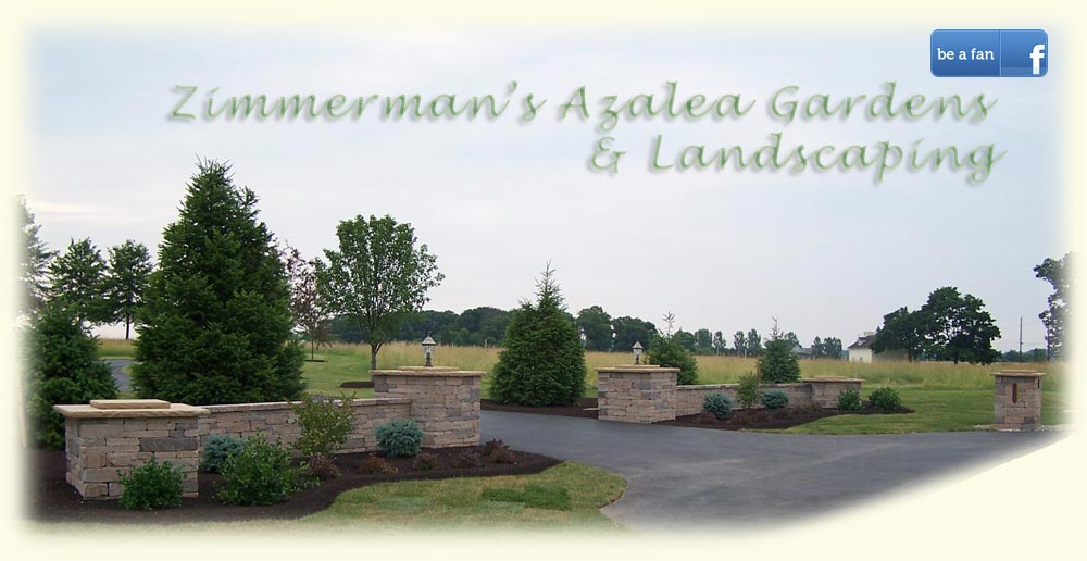 Zimmerman's Azaela Gardens and Landscaping